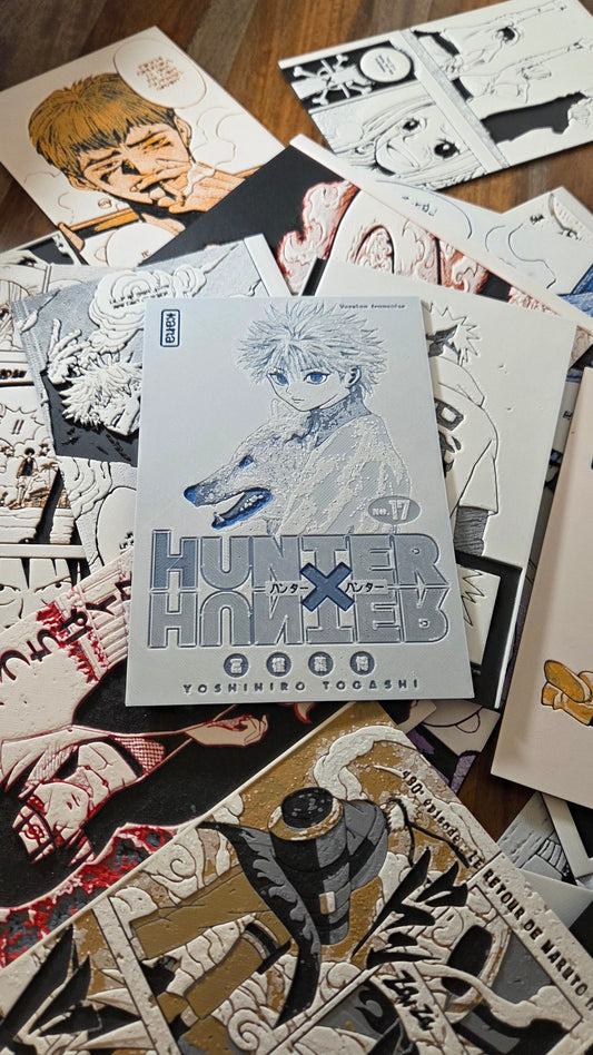 Affiche Hunter x Hunter – Kirua – Couverture Tome 17 – Impression 3D