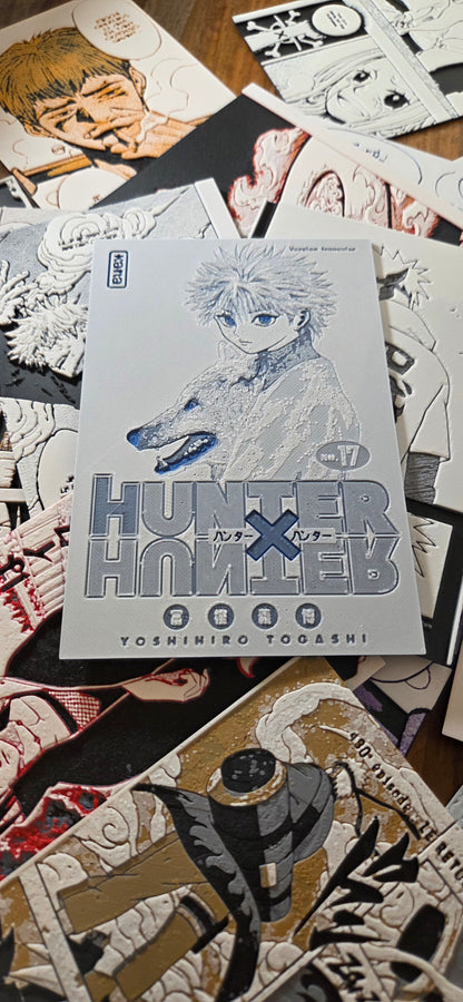 Affiche Hunter x Hunter – Kirua – Couverture Tome 17 – Impression 3D