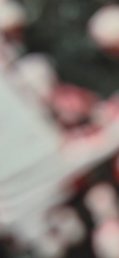 Affiche Berserk – Guts durant l’Éclipse – La Rage contre Griffith – Impression 3D